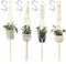 Kaxich 4 Pcs Suspension Plante Corde Macramé Corde de Coton Pot Suspendu Plante Porte Décoration du Jardin Intérieur Extérieur pour Balcon Décoration du Jardin avec 4 Crochets Suspendus