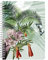 Clairefontaine 115766C - Un Carnet à Spirale Motifs Végétal/Floral/Oiseaux/Papillons - A5 14,8x21 cm 148 Pages Lignées papier blanc 90g - Collection Jungle Harmony - 2 visuels, livraison aléatoire