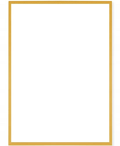 RAWWEST.BIS Alu Bilderrahmen 35x100cm Plakatrahmen Alurahmen mit Plexi Rahmen aus Aluminium für Bilder Poster Fotos und für Puzzle, Posterrahmen Fotorahmen, Gold