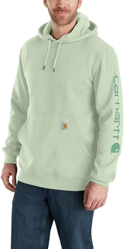 Carhartt Men's Loose Fit Midweight Logo Sleeve Graphic Sweatshirt Hooded Sweatshirt, Delicate Greens, M