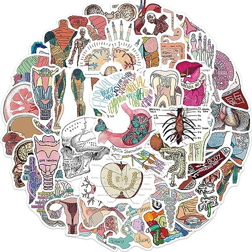 50 Pcs Organ Stickers for Kids Teens Adults Boys Girls Gift,Stickers Pack for Laptop,Skateboard,Luggage,Car,Bike, Cup,Computer,Water Bottle Decor,Organ Vinyl Waterproof Sticker Decals