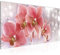 Runa Art Wandbild Blumen Orchidee 1 Teilig 100 x 40 cm Modern Bild auf Vlies Leinwand Perlen Wohnzimmer Rosa 208112a
