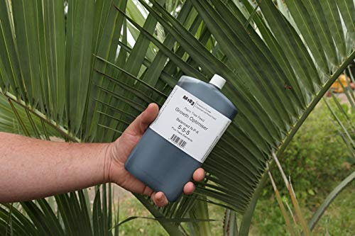 Todds Premium M183 Palm Tree Feed Fertiliser 250ml