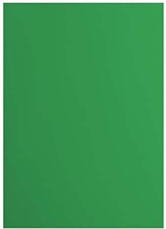 Vaessen Creative 2927-076 Florence Cardstock Papier, Grün, 216 Gramm/m², DIN A4, 10 Stück, Glatt, für Scrapbooking, Kartenherstellung, Stanzen und andere Papierbasteleien, Holly