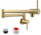 Tecmolog 2 Handles Kitchen Sink Faucet Brass Wall Mounted Pot Filler Faucet with Double Joint Swing Arms, Brushed Gold, CT166J2