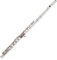 Flöte Vernickelt 16 Löcher C Key Cupronickel Woodwind Instrumente Gepolsterte Tasche Querflöte