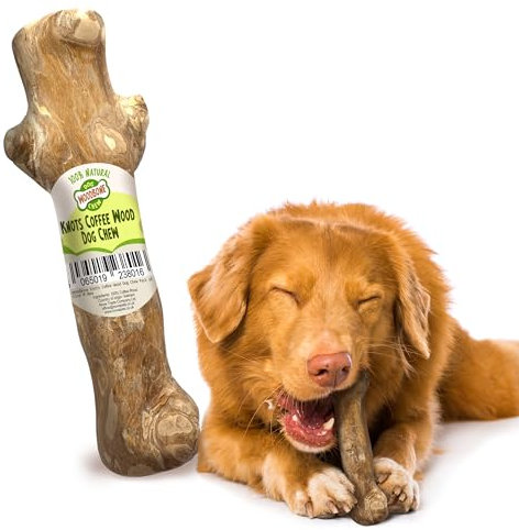 Woodbone Knots Coffee Wood Dog Chew Toy for Medium Dogs - Natural Wood Knots Branch Chewing Stick - Pack of 1 Size M