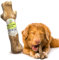 Woodbone Knots Coffee Wood Dog Chew Toy for Medium Dogs - Natural Wood Knots Branch Chewing Stick - Pack of 1 Size M