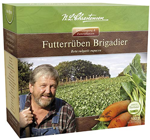RUNKELRÜBE/FUTTERRÜBEN 'BRIGADIER' Orange 500g (2x250g) Wertvolle, Ertragreiche und Leistungsstarke Futterpflanze für Tiere