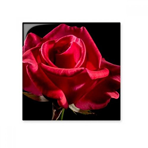 Rouge foncé roses fleurs en céramique Bisque carrelage de salle de bain Décor de cuisine Carreaux de céramique murale Carreaux Medium