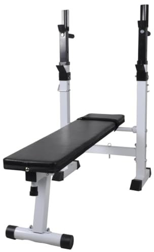 Furniture Select-Fitness Trainingsbank gerade Hantelbank