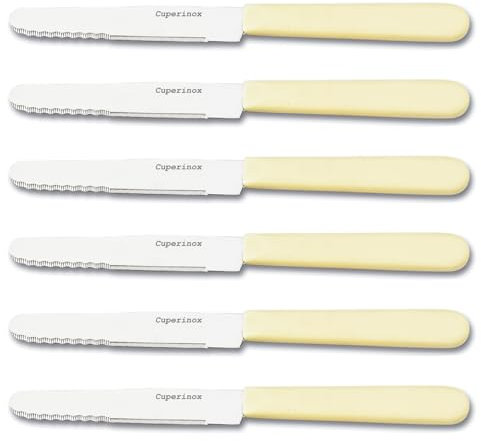Cuchillos Mesa, cuchillo carne, cuchillo mantequilla, Set 6 piezas, acero inoxidable, hoja con filo y sierra, cuchillo untar. Apto lavavajillas. Mango ergonomico