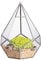 NCYP Opening Hanging Geometric Glass Terrarium, Modern Diamond Teardrops Shape Display Planter for Air Plant, Succulents, Indoor Garden Centerpiece, Sliver (No Plants Included)