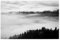 artboxONE Poster 30x20 cm Wald & Bäume Natur Fog 02 hochwertiger Design Kunstdruck - Bild Nebel Nebel Traum