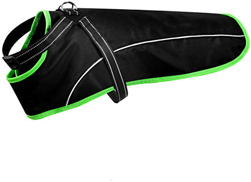 Regenmantel mit Geschirr für Hudne (L, grün) I Hundemantel wasserdicht und reflektierend I Hunde Regenjacke I Hunderegenmantel für kleine, mittelgroße und große Hunde wasserabweisend