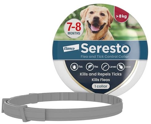 Seresto Flea and Tick Control Collar For Dogs Over 8kg (1 Collar), Long-Lasting & Simple Treatment For Dogs, 7-8 Months Of Protection, Keeps Pets Protected From Fleas & Ticks