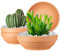 Clay Pots for Plants with Drainage Hole, 4 Pack Large Terra Cotta Plant Pot, 7.67 Inch Terra Cotta Pot Ceramic Pottery Planter Cactus Flower Pots Succulent Pot