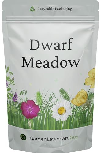 Dwarf Meadow Wild Flower Seeds - Low Growing 100% Wild Flower Seeds - 100g - Garden Lawncare Guy