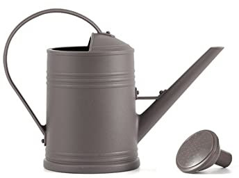 Ailovone Gießkanne mit Brause 2Liter klein Pflanzengießkanne Kunststoff Gießkanne Garten Wasserkanne mit Sprinklerkopf Langer Mund tragbares Gefäß dekorative Gartengeräte (Grau)