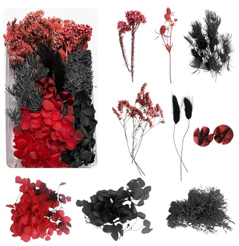 Dog's Booty Trockenblumen zum Basteln Trockenblumen Deko Trockenblumen Klein Getrocknete Blumen Deko Trockenblumen Basteln Trockenblumen Set für DIY Basteln Handwerk(schwarz und rot)