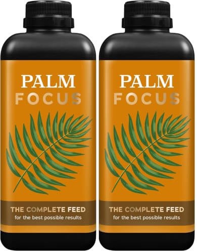 Growth Technology Ltd,1L,Black Palm Focus 1 Litre (Pack of 2)