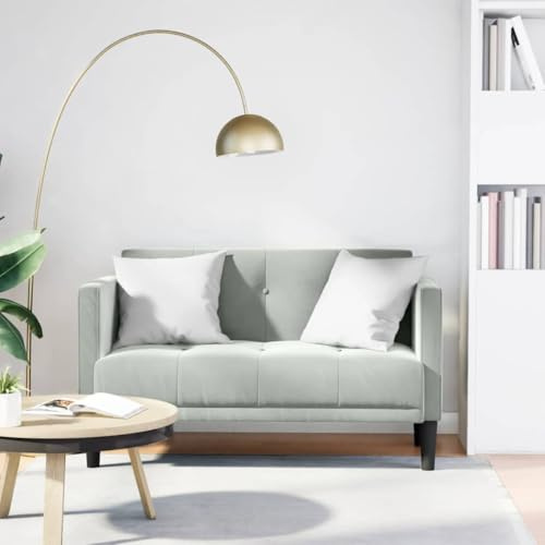 Iiaky Sofa 2 Sitzer Modernes 2 Sitzer Couch 2er SofaKleine SamtSofa Mit Armlehnen für Wohnzimmer/Schlafzimmer/Büro/Wohnung-Hellgrau-Samt