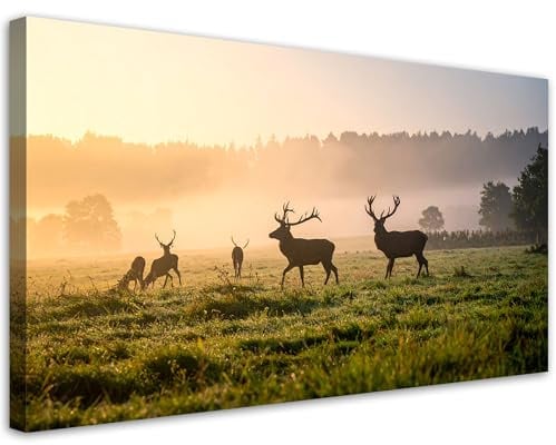 Feeby Wandbilder - Bilder Schlafzimmer - Hirsche auf der Brunft im Nebel - 100x50 1tlg - Wohnzimmer Bild Groß - Wohnungs - Foto Geschenk - Leinwand Wall Art - Wand Deko