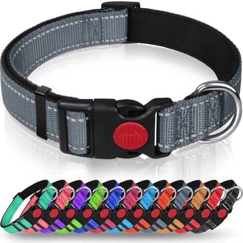 Taglory Hundehalsband, Weich Gepolstertes Neopren Nylon Hunde Halsband für Welpen, Verstellbare und Reflektierend für das Training, Grau