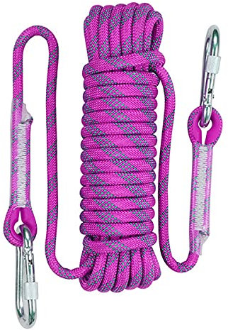 QHY Outdoor-Kletterseil, 10 mm, statisches Kletterseil, Mehrzweckseile, Eiskletterausrüstung, Feuerrettung, Fallschirmseil, Fluchtseil (Farbe: Lila, Größe: 10 m x 10 mm)