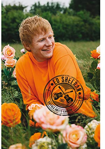 ABYSTYLE Poster Ed Sheeran Rose Field 61x91,5cm