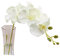 IMIKEYA Künstliche Orchideenblüten Teiliges Realistische Deko Für Zuhause Hochzeiten Und Feste Aus Seidenstoff Für Blumenarrangements Und Tischdekoration