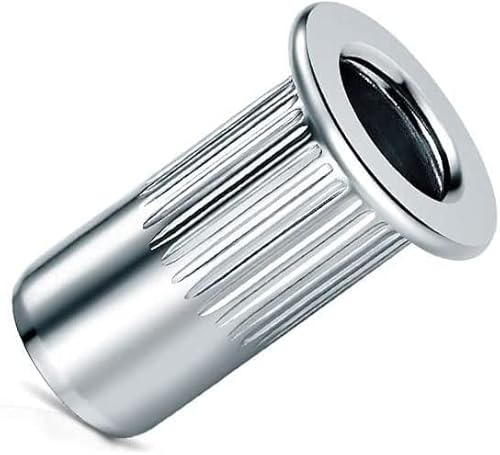 M10 Tuercas de remache ciego, cabeza abovedada, cuerpo redondo, extremo abierto, inserto roscado, Nutsert, acero galvanizado Tuerca remachable estriada, Rivsert para acero, aleación, cobre (5 uds.)