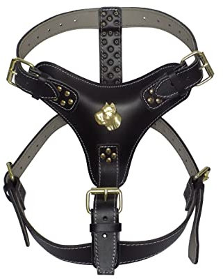 Hundegeschirr, Hund Zubehör, extra groß, strapazierfähig, schwarzes Leder, mit einzigartigem goldfarbenem Corso-Kopf-Motiv und goldfarbenen Beschlägen