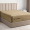 Spannbettlaken 180x200 cm – 40 cm Steghöhe – Aus gebürsteter Polyester-Mikrofaser – Spannbetttuch geeignet für Boxspringbetten – Passt auf Matratzen bis zu 40 cm – OEKO-TEX Zertifiziert, Beige