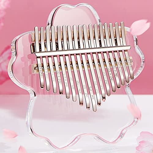 BOTOWI Kalimba 17 Tasten Daumenklavier Musikinstrumente, Transparentes Acryl Finger Klavier Instrument mit Eva Wasserdichtes Hartes schützendes Etui für Anfänger,Clear 17 Keys