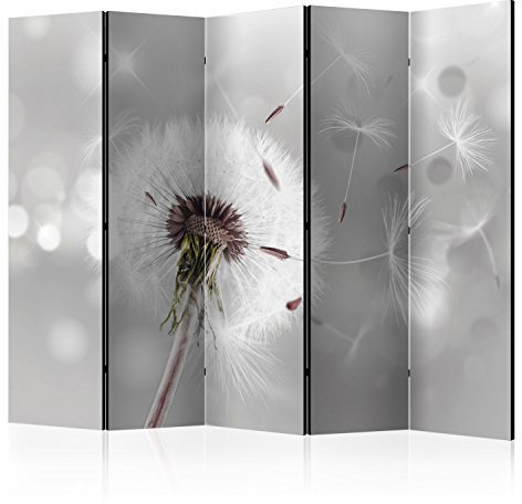 RAUMTEILER/PARAVENT B&D XXL Raumteiler Pusteblume Foto Paravent 225x172 cm beidseitig auf Vlies-Leinwand Bedruckt Trennwand Spanische Wand Sichtschutz Raumtrenner Home Office grau b-C-0072-z-c
