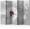 RAUMTEILER/PARAVENT B&D XXL Raumteiler Pusteblume Foto Paravent 225x172 cm beidseitig auf Vlies-Leinwand Bedruckt Trennwand Spanische Wand Sichtschutz Raumtrenner Home Office grau b-C-0072-z-c