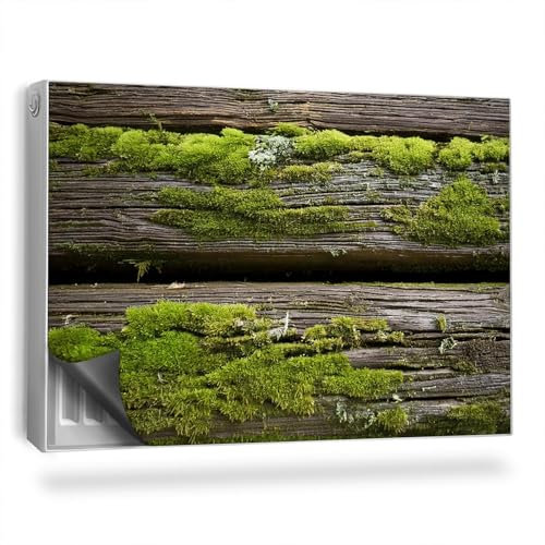 Couverture Magnétique 90x60 cm Protège et Décore Cache Radiateur Anti-poussière Facile à Installer Tapis Design pour Radiateurs - Vieilles Planches de Bois recouvertes de Mousse