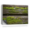Couverture Magnétique 90x60 cm Protège et Décore Cache Radiateur Anti-poussière Facile à Installer Tapis Design pour Radiateurs - Vieilles Planches de Bois recouvertes de Mousse