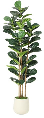 Higuera artificial de hoja de violín con maceta blanca, planta falsa de 6 pies de alto con tronco de madera natural, árbol ficus sintético en maceta para decoración del hogar, oficina, sala de estar