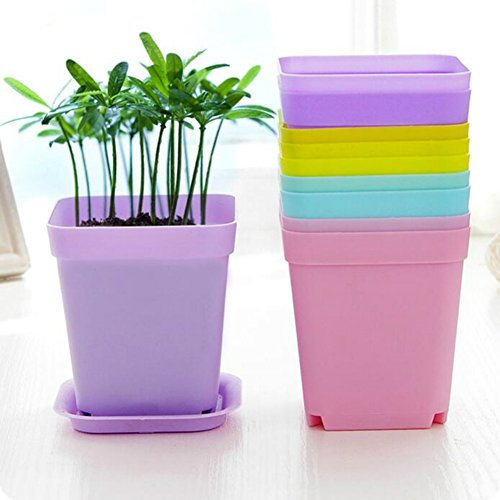 Lot de 10 pots de fleurs carrés en plastique pour plantes succulentes 7 x 7 x 8 cm Couleur aléatoire