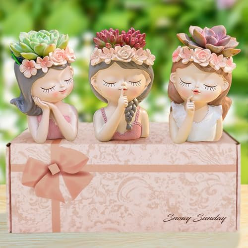 Snowy sunday Small Fairy Succulent Plant Pot Set 3 Pack with Drainage Hole Indoor Cactus Pot Cute Flower Vases Decor with Girl Face Planter Gifts Idea for Women Arrive Beautifully Boxed