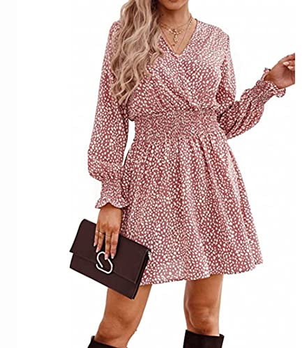 BAIXIAOCHI FrüHlings-Neues Damen-Kleid Mit V-Ausschnitt Und Langen äRmeln