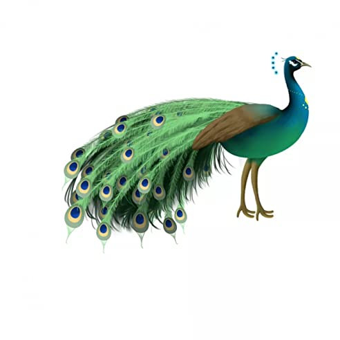 MACMRD Auto Aufkleber Pfau Autoaufkleber PVC Stoßstange Fenster Außen Auto Aufkleber Laptop Dekoration Wasserdicht