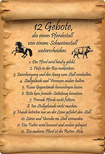 Blechschild 20x30cm gewölbt 12 Gebote Pferdestall Deko Geschenk Schild