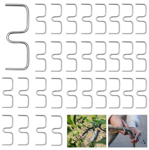 HuaMuDM Branch Support for Fruit Trees, Pack of 60 9 cm Branch Puller Holder for Fruit Branches, M Shaped Branch Spreader, Metal Branch Spreader for Garden Trees, Garden Growing Support