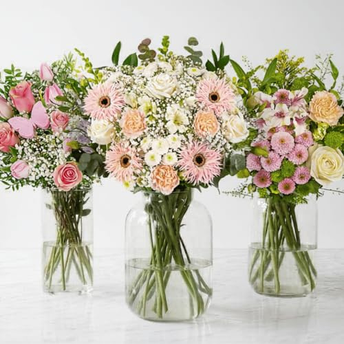 Florist Choice Bouquet - Mixed Stems - Fresh Flowers | Birthdays, Anniversaries, Thank You Gifts, Thinking of You, Delivered in Bud and Blooms in 48-72 Hours
