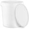 BenBow Seau avec Couvercle 1x 30 litres Blanc - Compatible Alimentaire Stable hermétique étanche inodore - récipient de Stockage en Plastique avec poignée en métal - Vide - récipient de Stockage