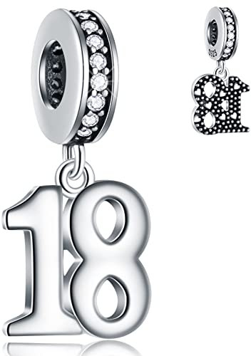 18 Jahre Geburtstag Dangle Charms passt Pandora DIY Armband Halskette, 925 Sterling Silber 18th Anniversary Anhänger Perlen mit CZ, Meilenstein Anzahl 18 Bday Geschenke für Cousin/Göttin