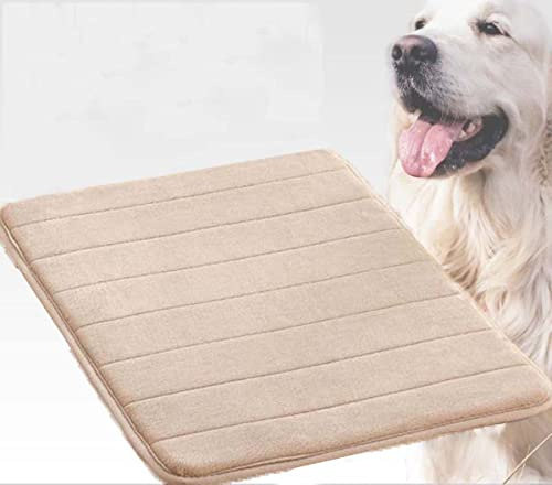 Danchen Hundebett, Katzenmatte, waschbar, 60 x 40 cm, weich, dünn, Schaumstoff, Haustierbetten, Hundehütte, orthopädisches Hundekissen, Polsterung, rutschfest